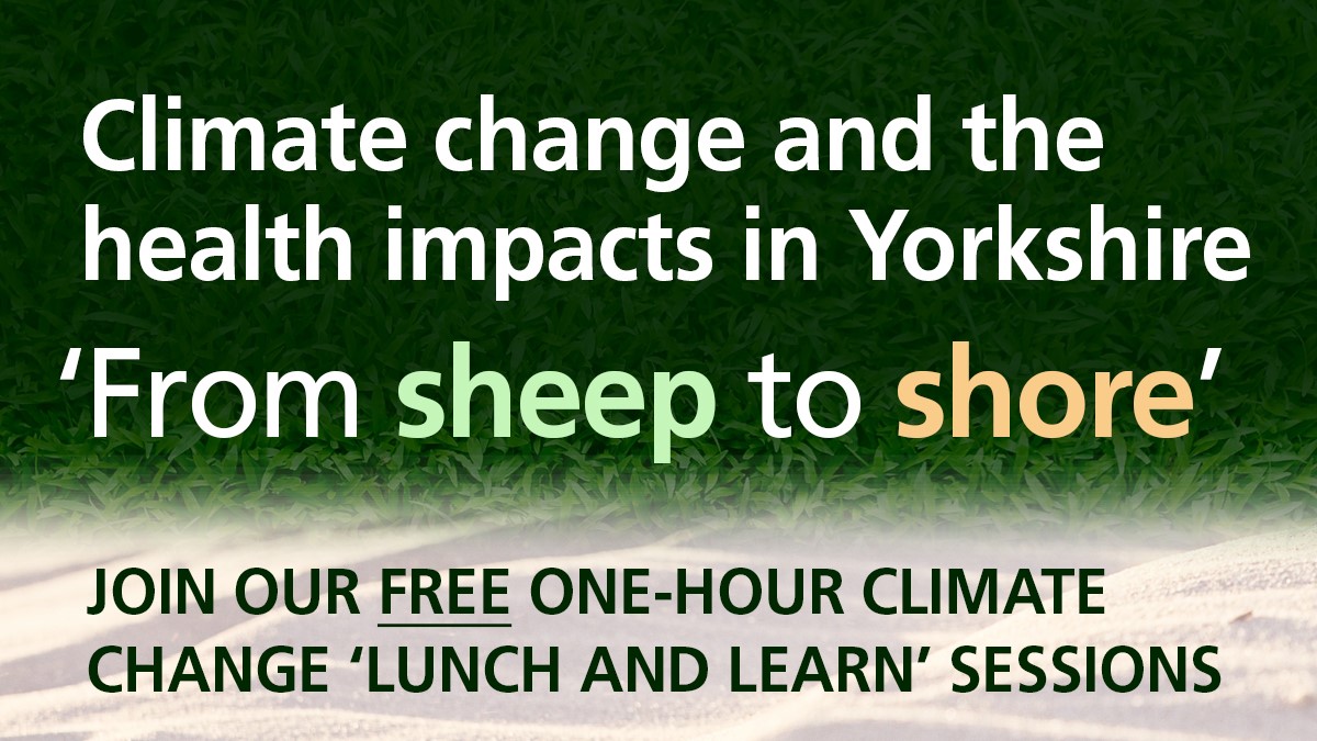 Grass and sand with the words 'From sheep to shore - climate change and the health impacts in Yorkshire'