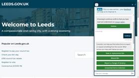 Website chatbot screenshot - decorative