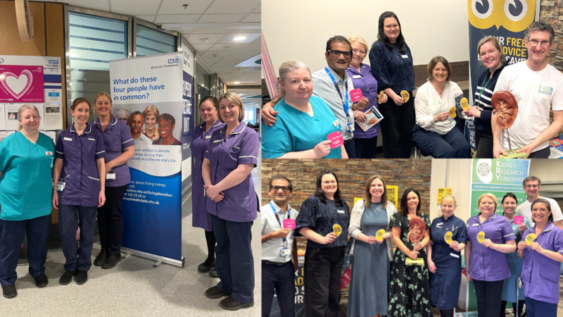 Collage of images of healthcare colleagues with kidney promotional material