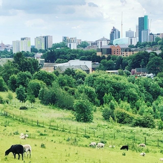 Meanwood Valley Urban Farm - Photo credit: Meanwood Valley Urban Farm