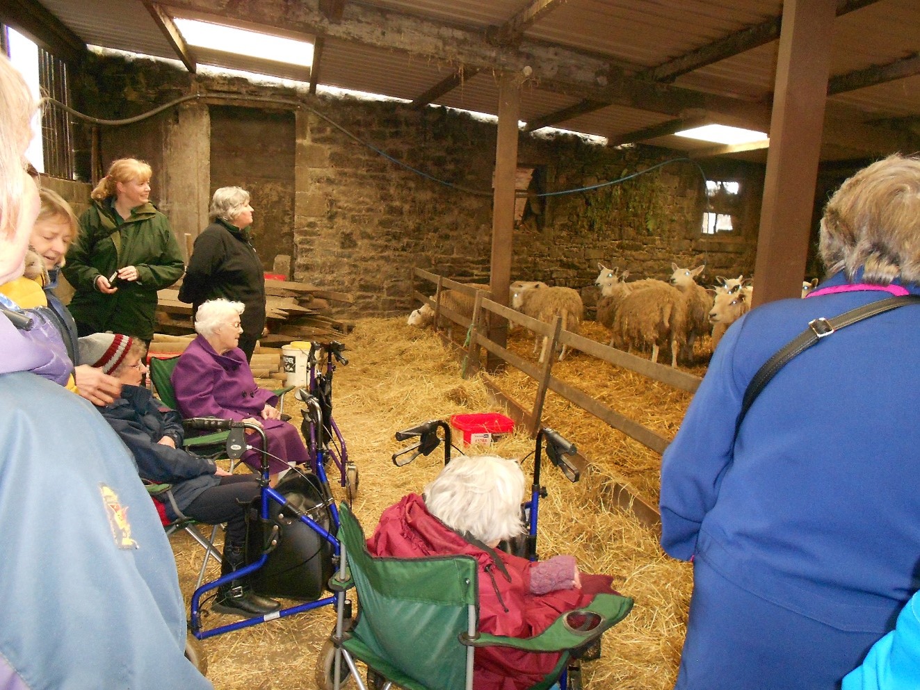 Older people visiting a farm - Photo credit North Yorkshire County Council (Craven)