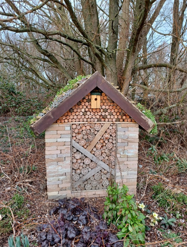 An insect hotel