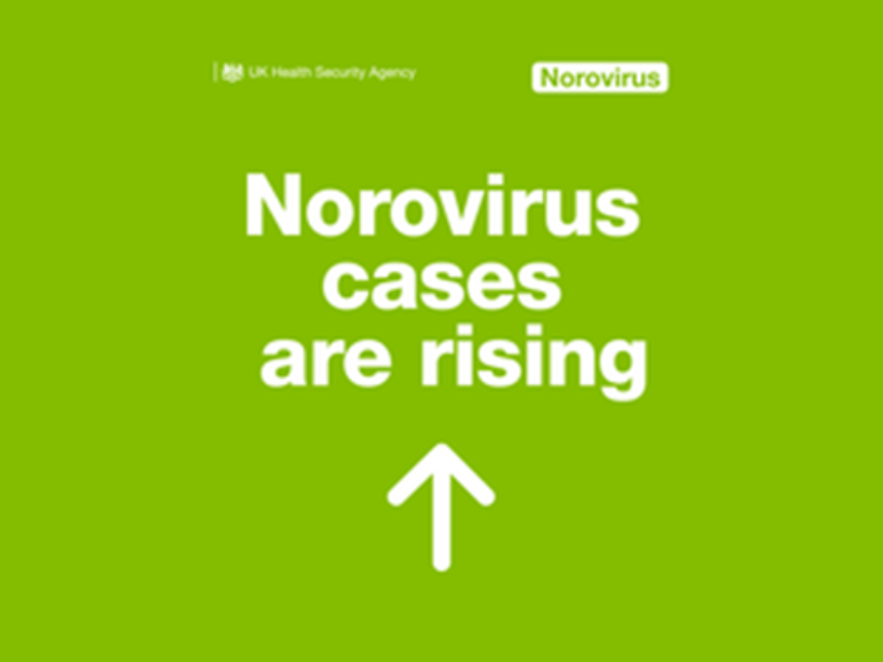 Norovirus cases are rising