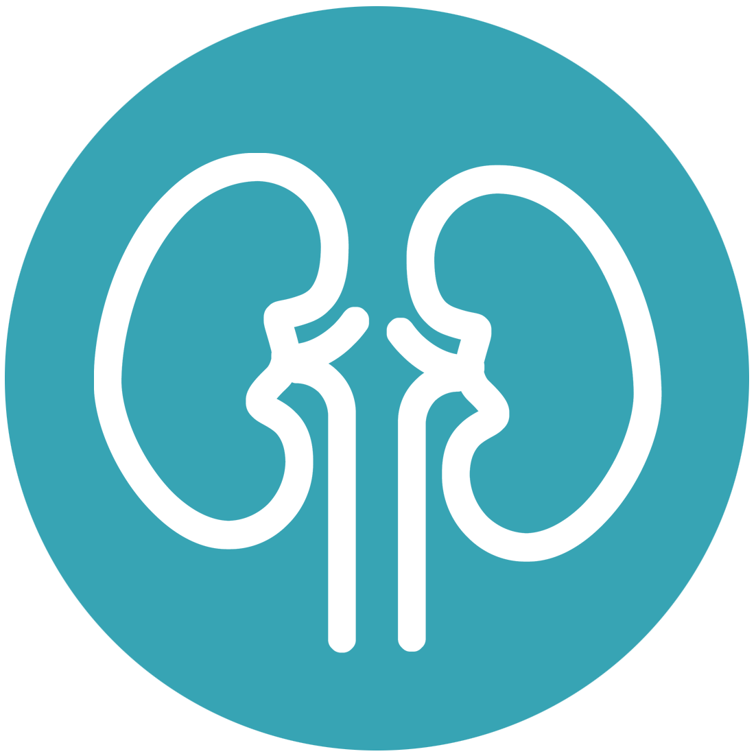 Kidneys Icon.png