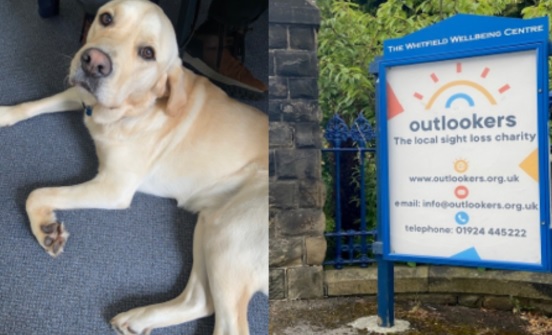 Guide dog and outlookers sign
