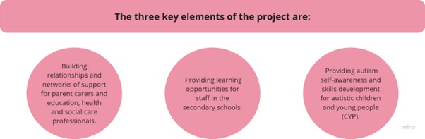 A graphic that reads 'Some of the key elements of the project is building relationships and networks of support for parent carers and education, health and social care professionals.