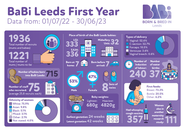 BaBI first year infographic (decorative only)