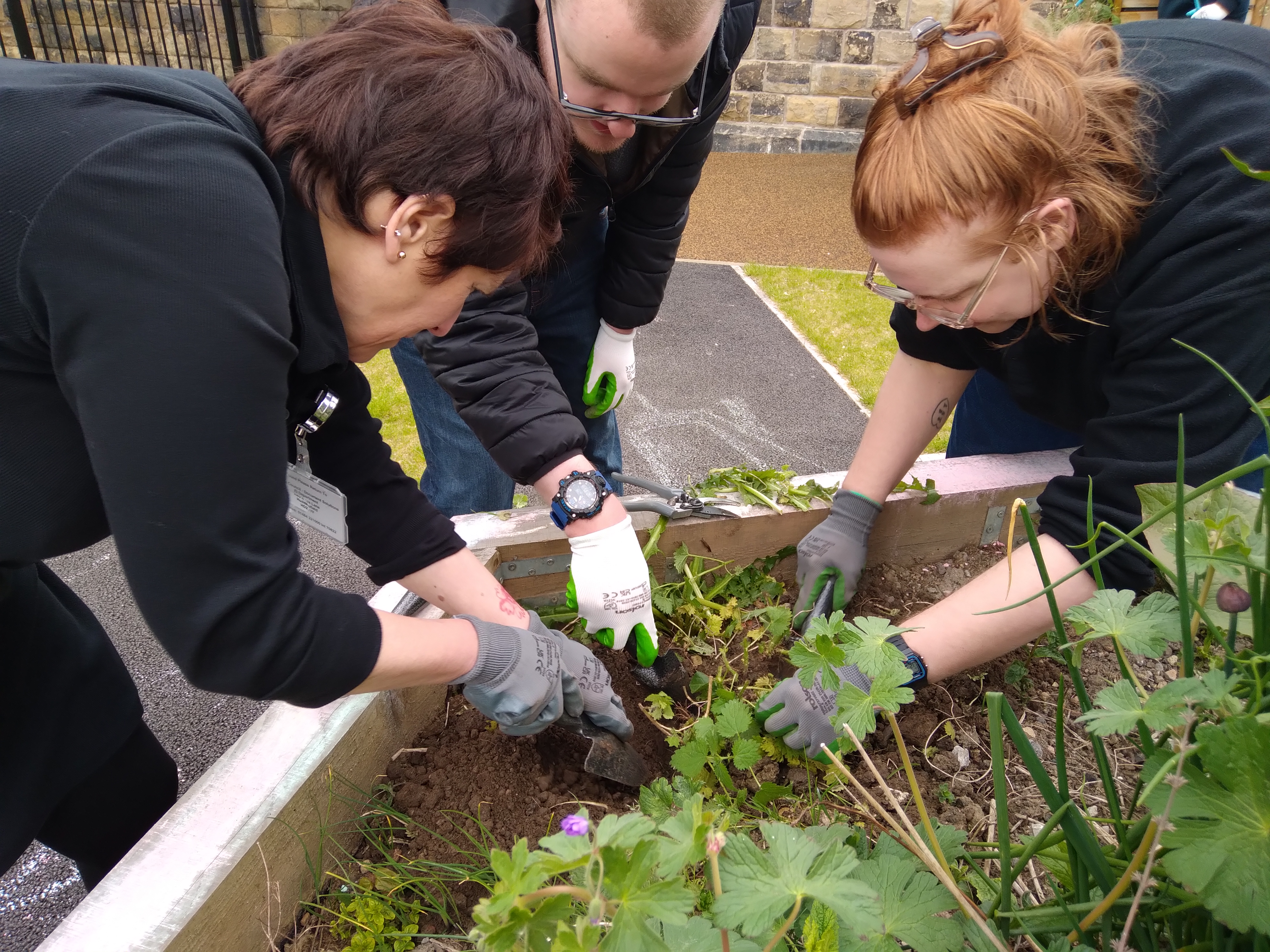 Birkby library growing group