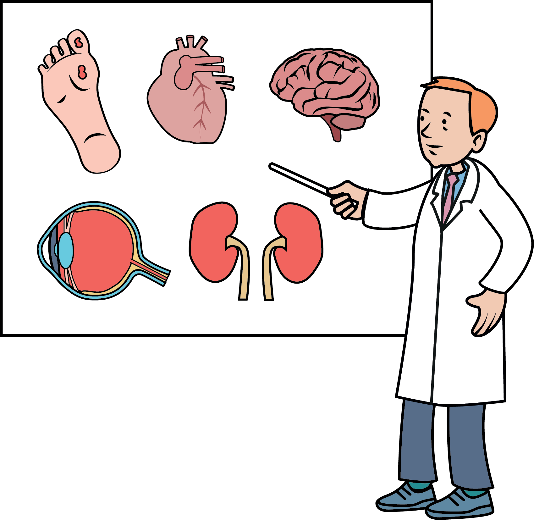 Diabetes  organ affects.png