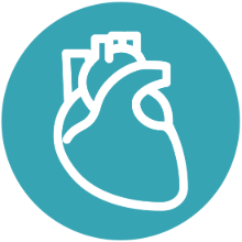Heart Icon.png