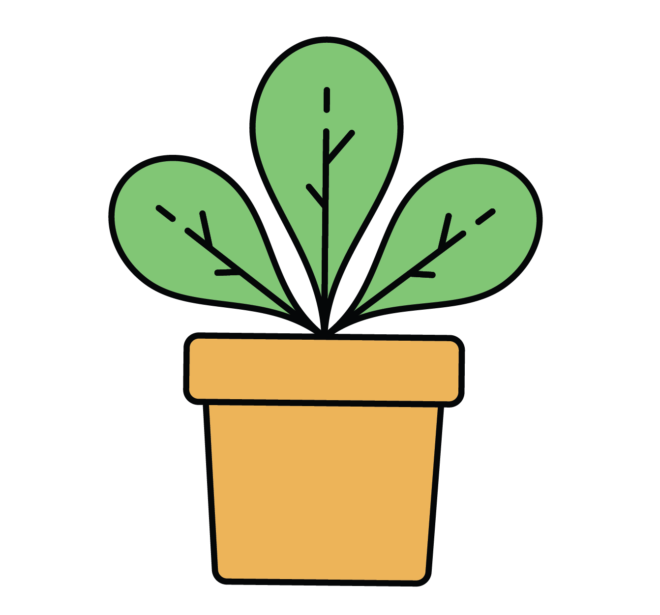 A plant.