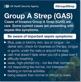 Strep 2 .jpg