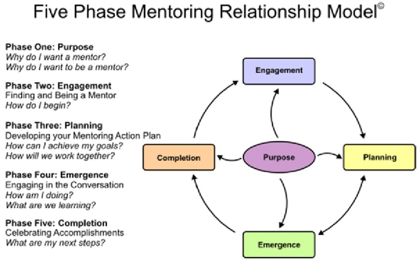 An image of the five phase mentoring relationship model 