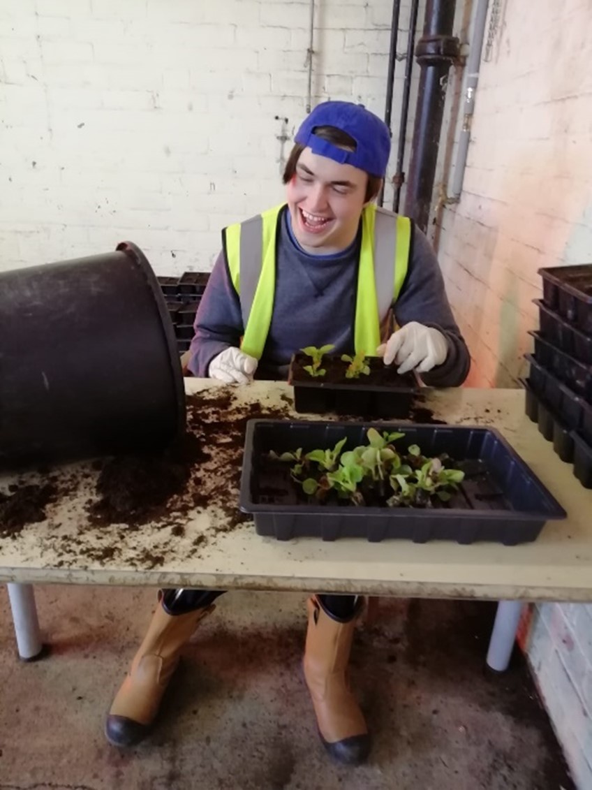 Young gardener potting plants