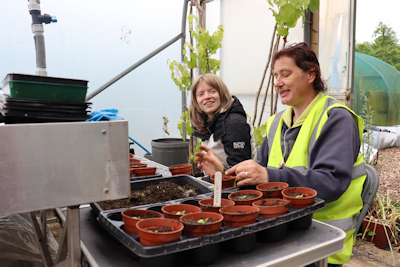 Two women sat a table gardening with trays of small plant pots in front of them