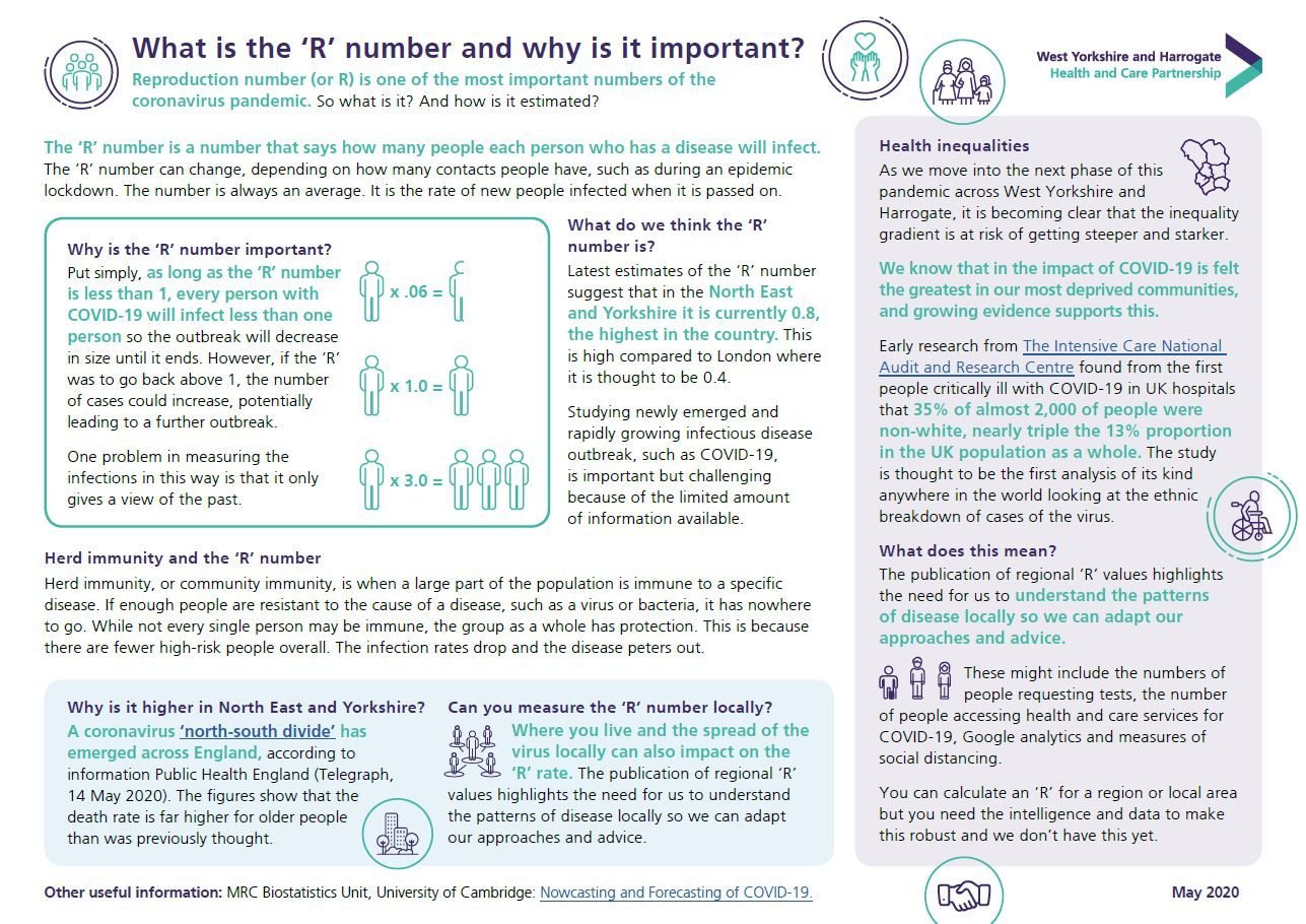 What is R? Infographic