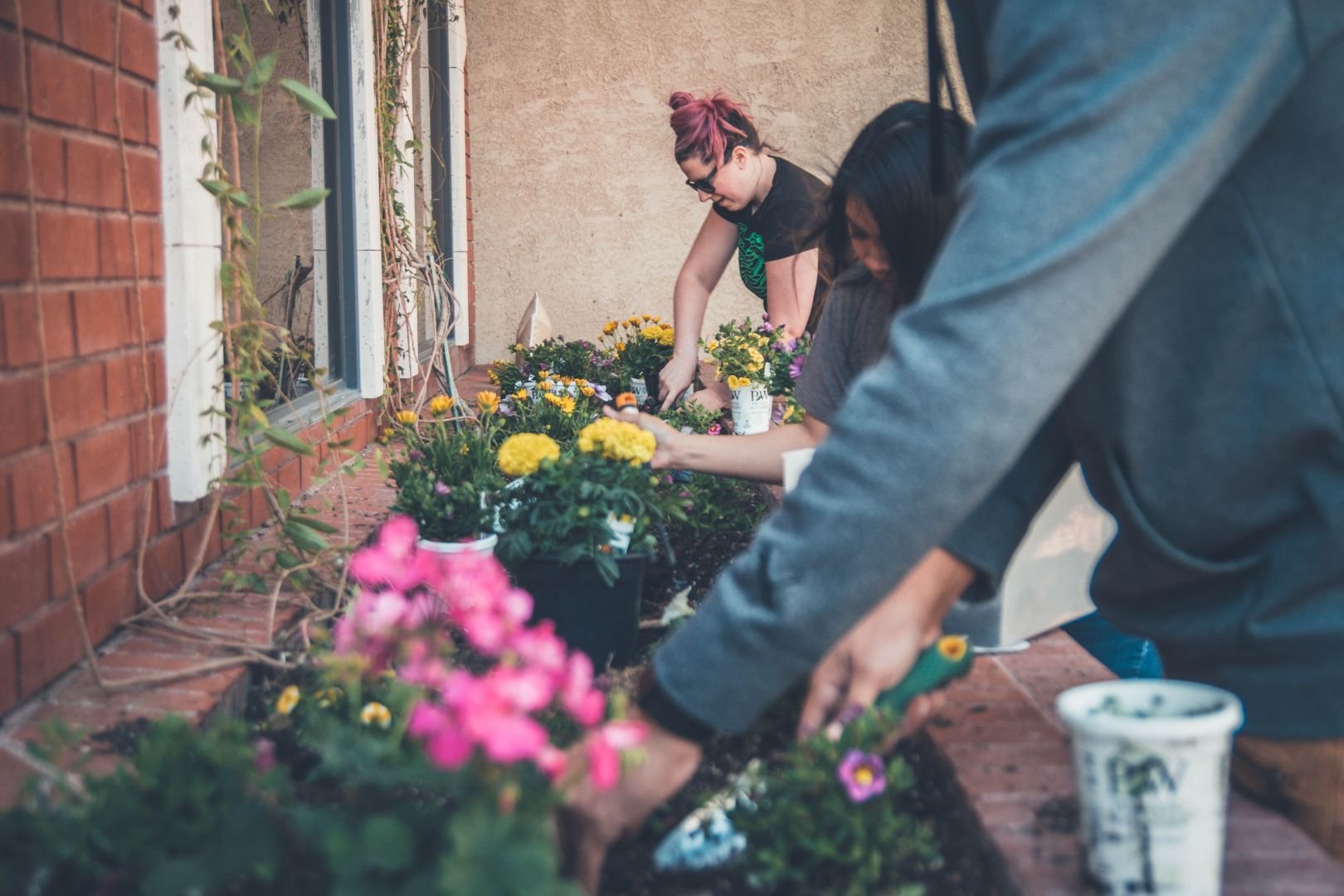 Planting flowers