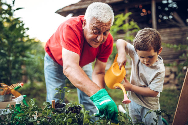 Grandad and grandson gardening together
