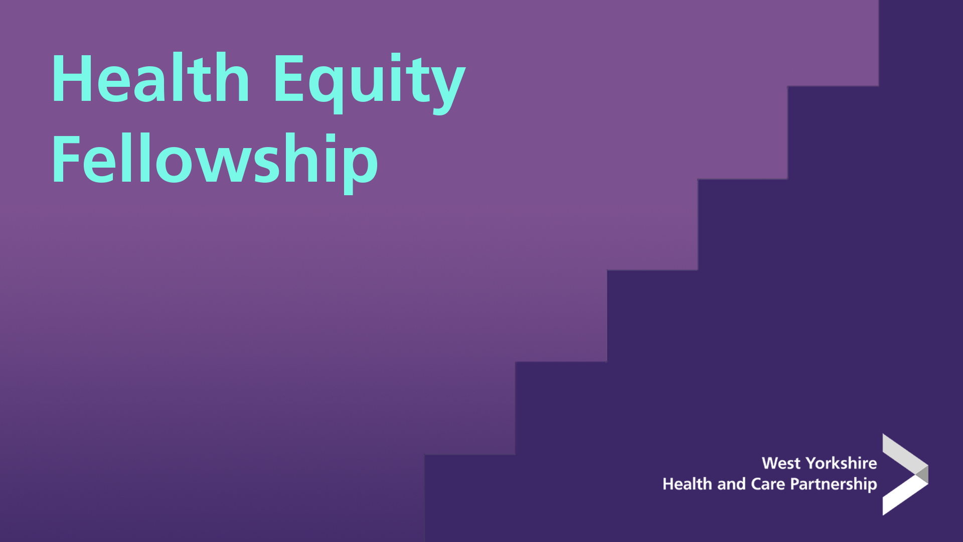 Health Equity Fellowship Teams Background.png