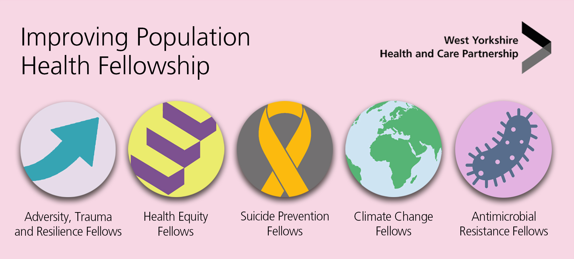 Improving Population Health Fellowship supporting graphic